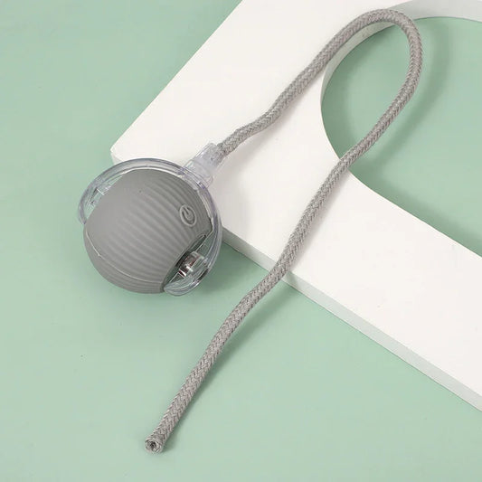 Interactive Pet Ball – Chase, Play & Entertain