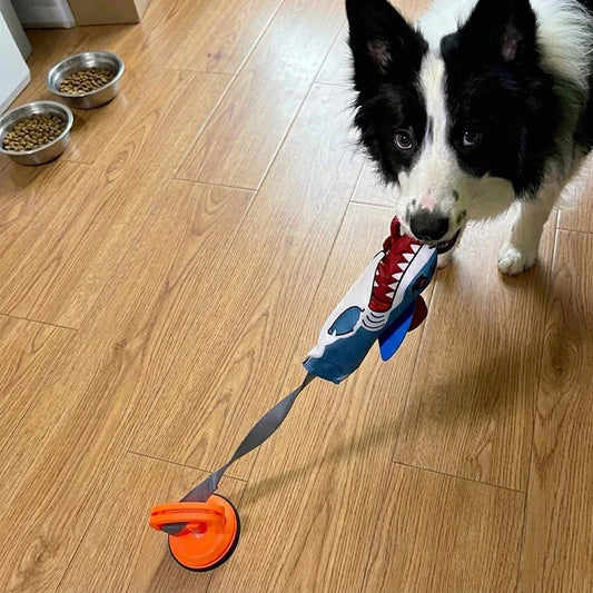 Stress Relief Shark Tug