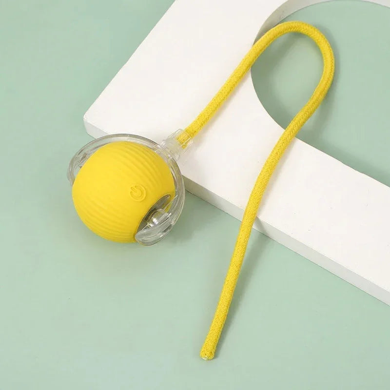 Interactive Pet Ball β Chase, Play & Entertain