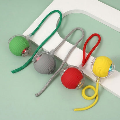 Interactive Pet Ball – Chase, Play & Entertain