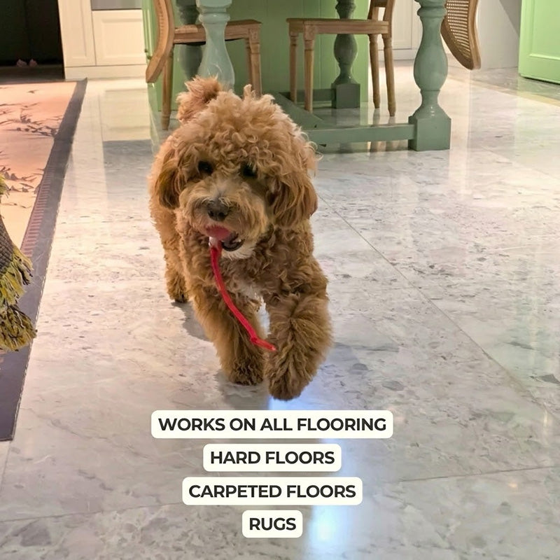 Interactive Pet Ball – Chase, Play & Entertain