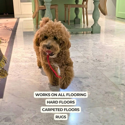 Interactive Pet Ball – Chase, Play & Entertain