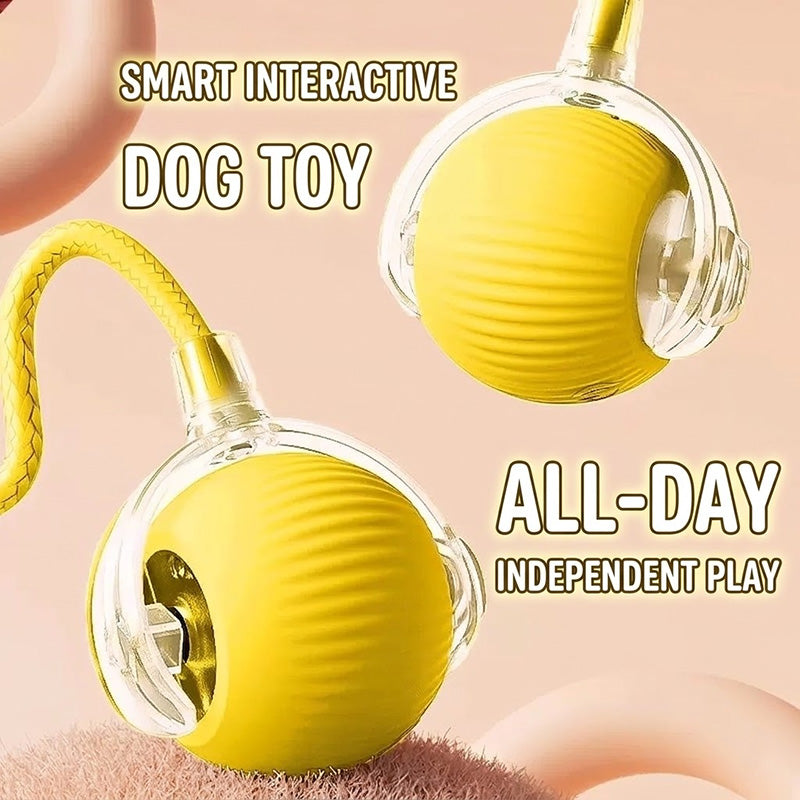 Interactive Pet Ball – Chase, Play & Entertain