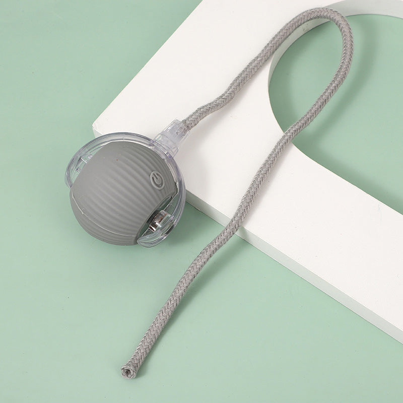 Interactive Pet Ball – Chase, Play & Entertain