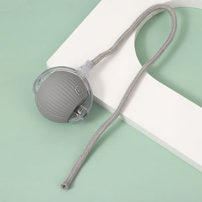 Interactive Pet Ball – Chase, Play & Entertain