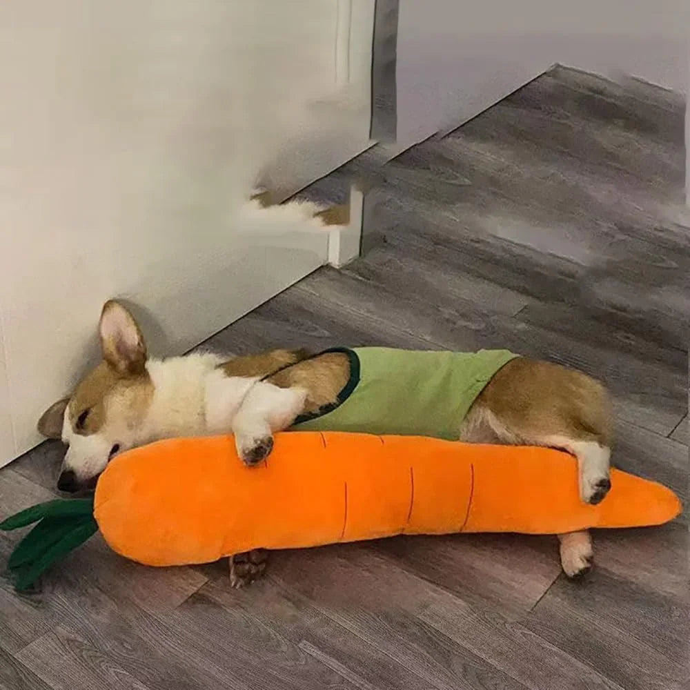 Carrot Dog Toy – Chew, Play, and Snuggle