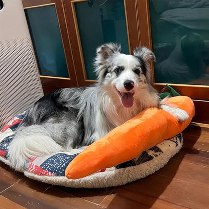 Carrot Dog Toy – Chew, Play, and Snuggle