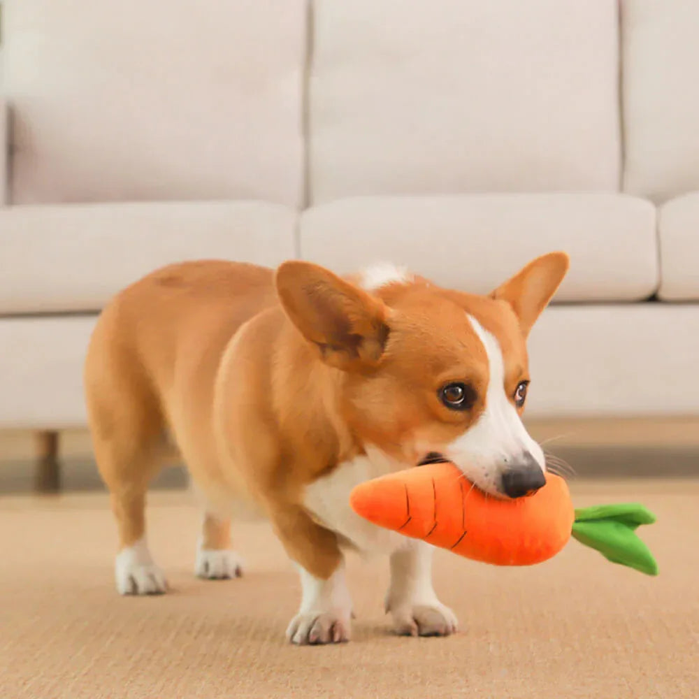 Carrot Dog Toy – Chew, Play, and Snuggle