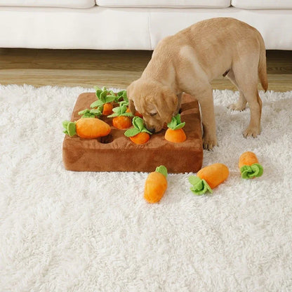Interactive Carrot Toy – Keep Your Pet Happy & Busy