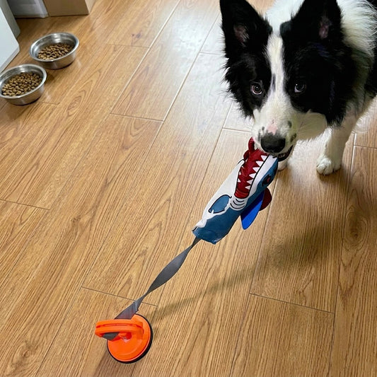 Stress Relief Shark Tug