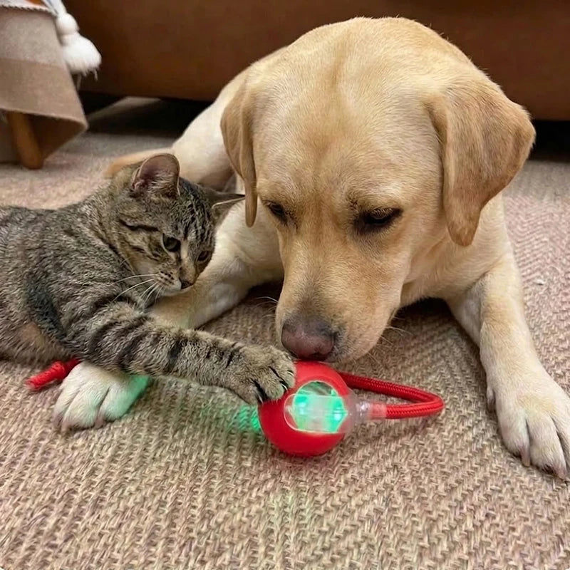 Interactive Pet Ball – Chase, Play & Entertain