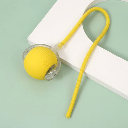 Interactive Pet Ball – Chase, Play & Entertain