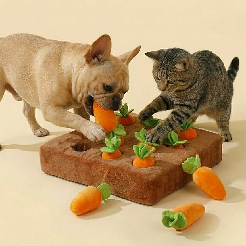 Interactive Carrot Toy – Keep Your Pet Happy & Busy