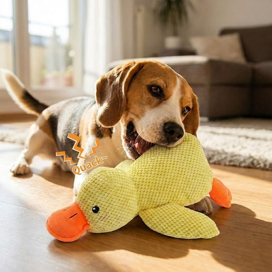 Quacky Companion Duck – Chew, Cuddle & Have Fun