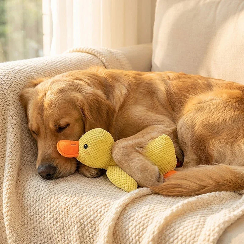 Quacky Companion Duck – Chew, Cuddle & Have Fun