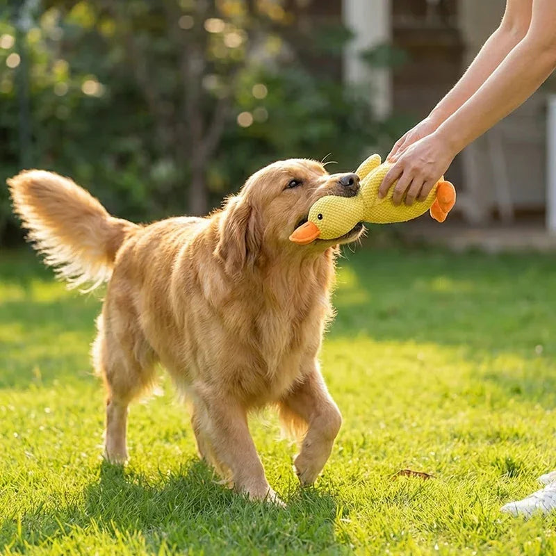 Quacky Companion Duck – Chew, Cuddle & Have Fun